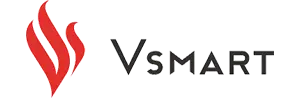 VinSmart